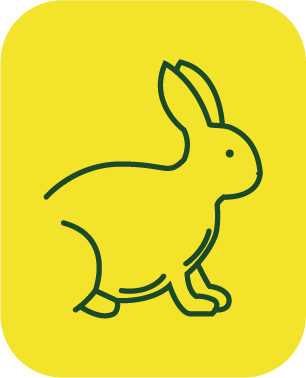 CONEJOS