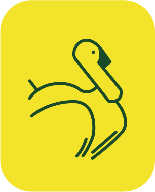 PAVOS